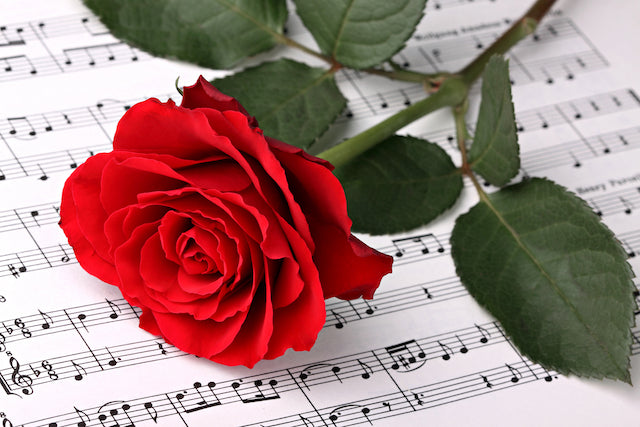 Best Funeral Songs