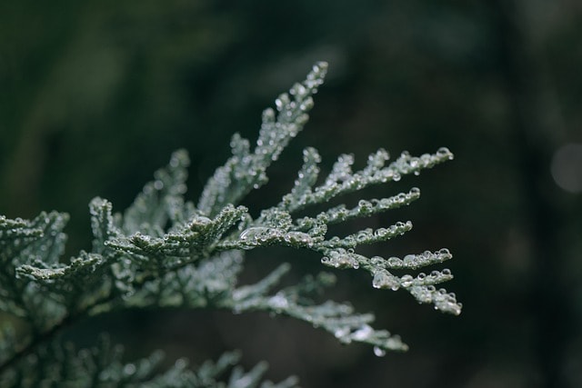 healing grief quotes
