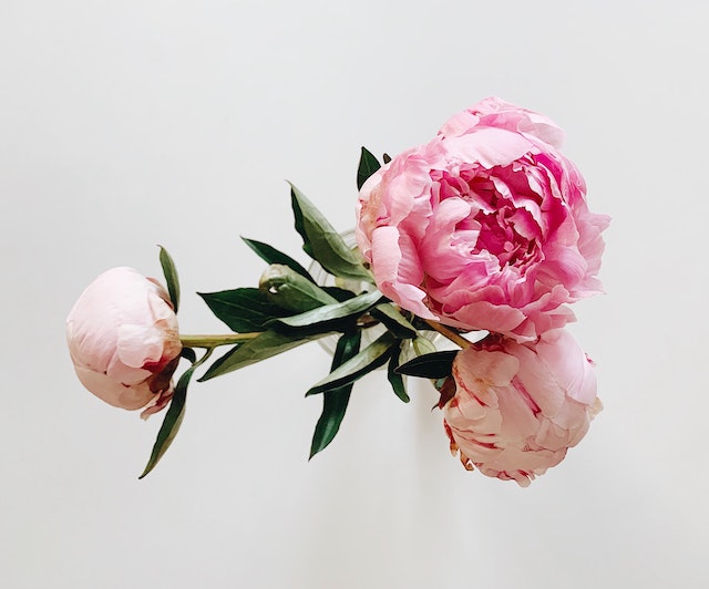 Unusual Funeral Flowers