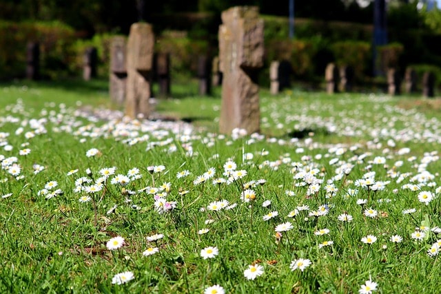 Cemetery vs Graveyard: Understanding the Key Differences