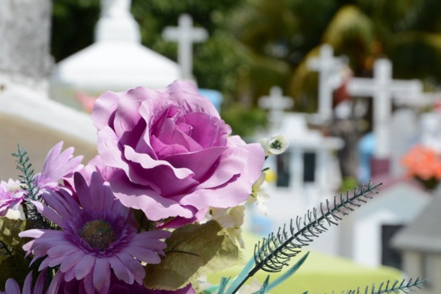 A Lilac flower resting on a gravestone