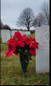 Holiday Poinsettia Bouquet